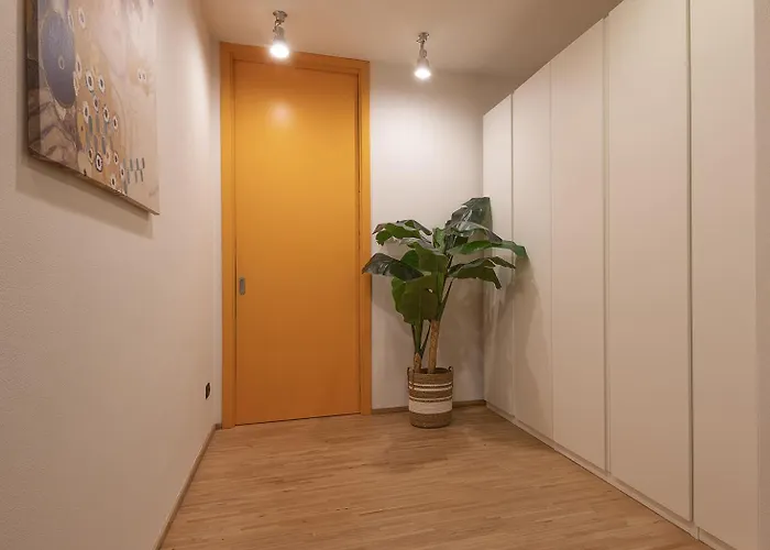 Architect S House